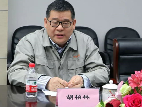 梦之城